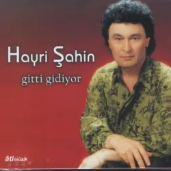 Hayri Şahin - Gitti Gidiyor
