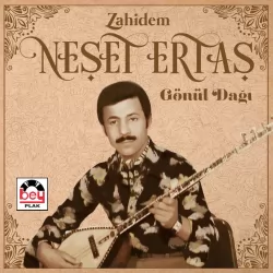 Zahidem / Gönül Dağı (Neşet Ertaş)