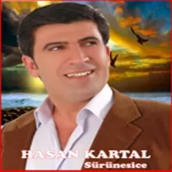 Sürünesice (Hasan Kartal)