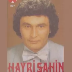 Unutamam Seni (Hayri Şahin)