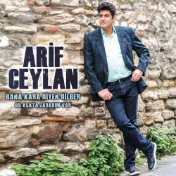 Bana Kara Diyen Dilber - Bu Aşkta Zararım Var (Arif Ceylan)