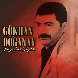 Vazgeçilmez Değilsin (Gökhan Doğanay)