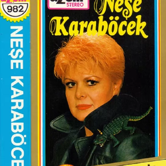 Kertenkele (Neşe Karaböcek)