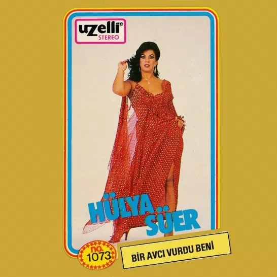 Bir Avcı Vurdu Beni (Hülya Süer)