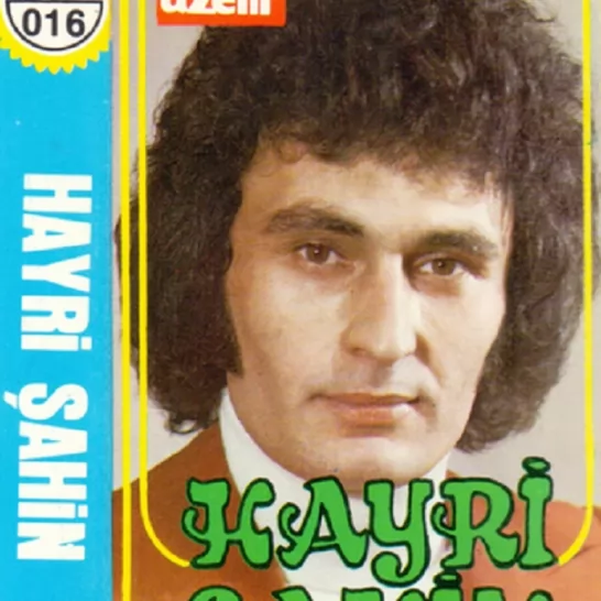 Gitti Gidiyor (Hayri Şahin)