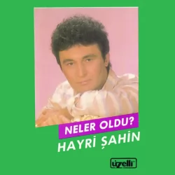 Neler Oldu (Hayri Şahin)