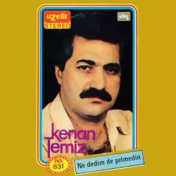 Ne Dedim De Gelmedin (Kenan Temiz)