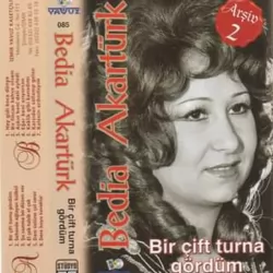 Bir Çift Turna Gördüm (Bedia Akartürk)