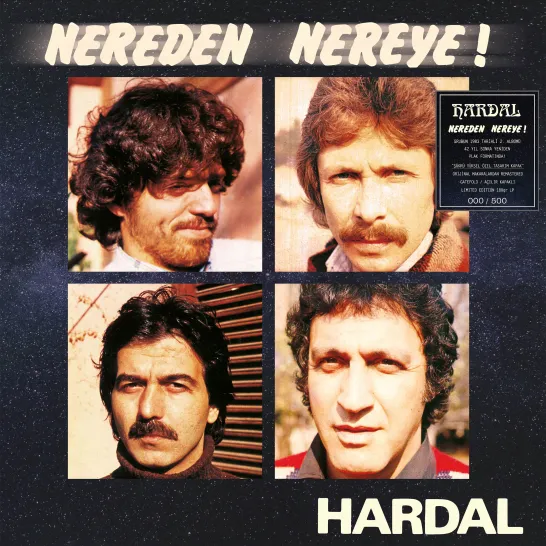 Nereden Nereye (Hardal)