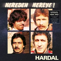 Nereden Nereye (Hardal)