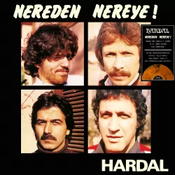 Nereden Nereye Renkli Plak (Hardal)