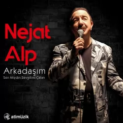 Arkadaşım (Nejat Alp)