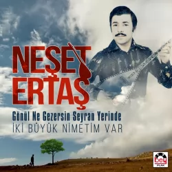 Gönül Ne Gezersin Seyran Yerinde (Neşet Ertaş)