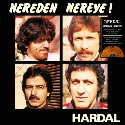 Nereden Nereye (Hardal)