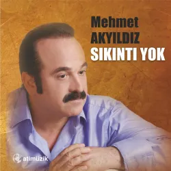 Mehmet Akyıldız